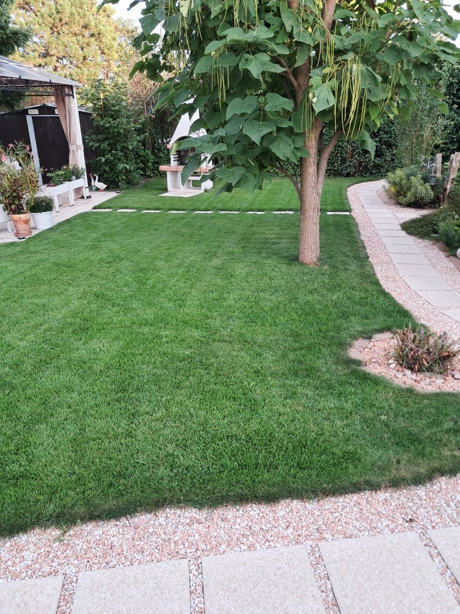 Gepflegter Rasen im Garten